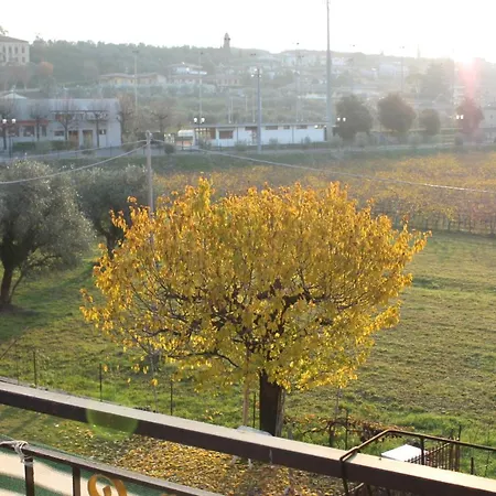 Stella Angela 巴多利诺