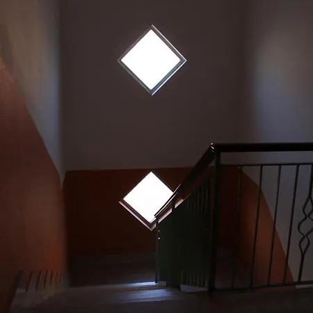 Stella Angela * 巴多利诺