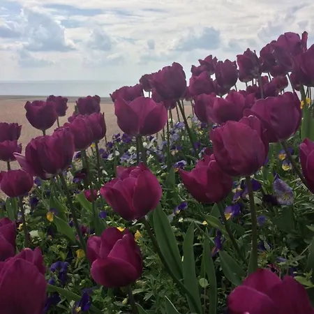 Stella Angela 公寓