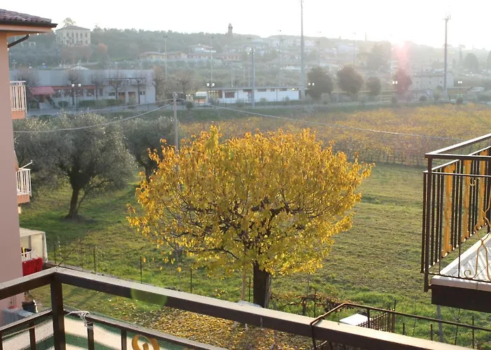 Stella Angela 巴多利诺