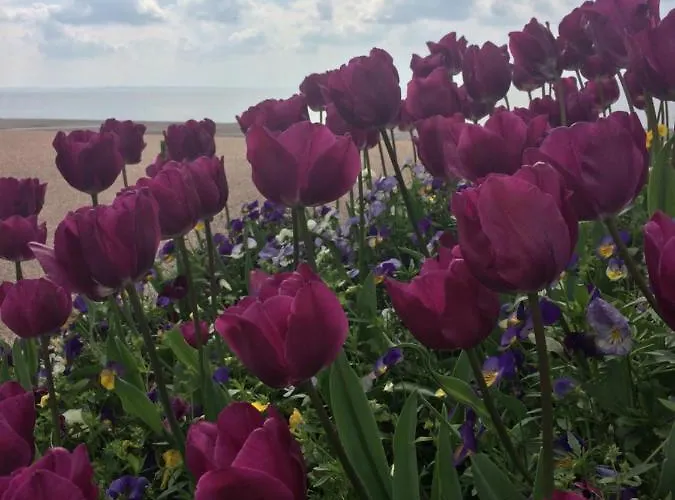 Stella Angela 公寓